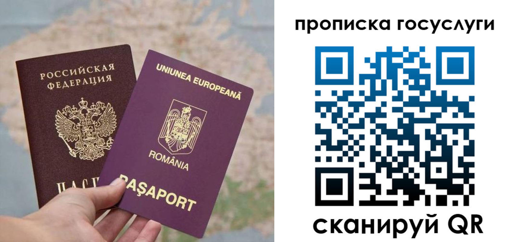 прописка паспорт в Камешково
